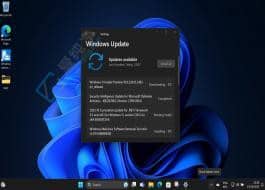 Win11 Beta 22635.2483 發(fā)布：暫時(shí)禁用 3D Emoji 以修復(fù) BUG