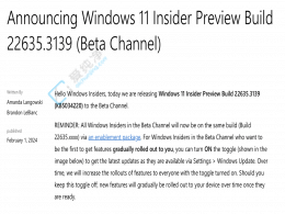 Win11 Beta 預(yù)覽版發(fā)布：修復(fù)“立即獲取更新”按鈕崩潰 Bug 等
