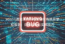 Win11遇到系統(tǒng)Bug該如何有效反饋和報告：詳細(xì)步驟與實用技巧